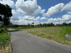 Tanah Murah Kaliurang Sleman, Dekat Kopi Rolas