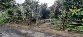 Tanah darat dan sawah air sangat subur cocok buat bikin kolam ikan