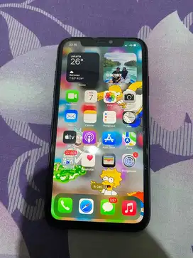 Iphone 11 64Gb Inter