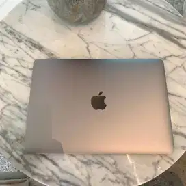 Apple Macbook Retina 12 Inch Mulus