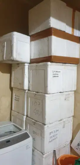 Box styrofoam | Box Es | Box Penyimpanan Dingin | Box Untuk Dagang