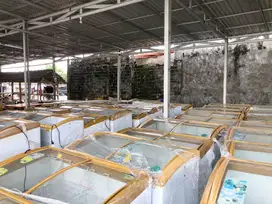 Dijual atau Disewakan Freezer box kaca bekas 360lt ready 60pcs ori