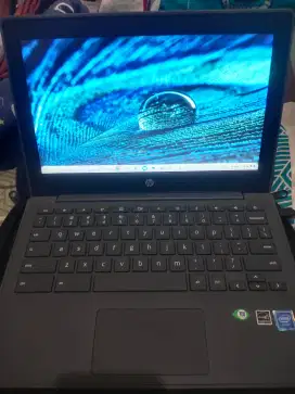 Notebook HP Chromebook 11 G8 EE