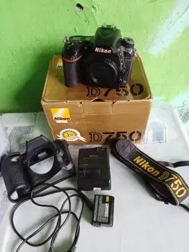 NIKON D750 WI-FI FULFREM