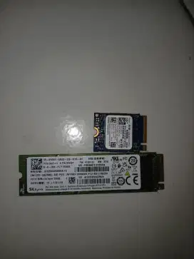 Jual SSD M2 256gb