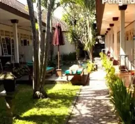 di jual kokosan di tamblingan sanur