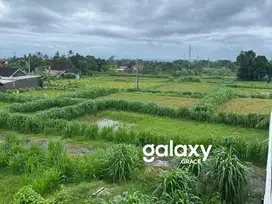 TANAH VIEW SAWAH DI MULAWARMAN ABIANBASE GIANYAR, BALI