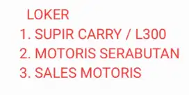 LOKER SUPIR CARRY / L300 & MOTORIS SERABUTAN