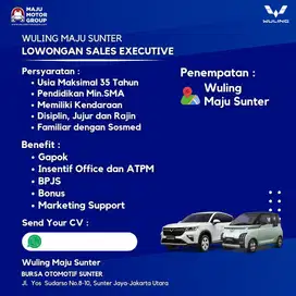 Dibutuhkan Segera Sales Wuling EV