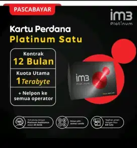 IM3 PASCABAYAR 1.000GB 1 Th