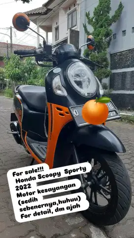 Scoopy 2022 oren