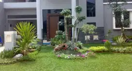 Spesialis seni taman dan kolam