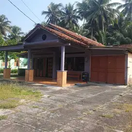 Rumah Murah Siap Huni di Panjatan Kulonprogo RSH 911