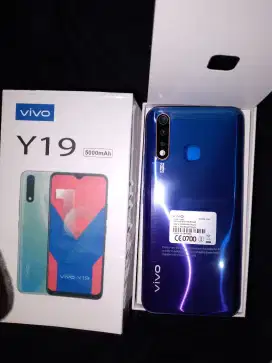 VIVO Y19 8/256 GB