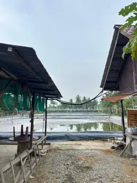 DIJUAL CEPAT TANAH BEKAS TAMBAK UDANG