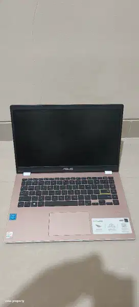 Asus vivobook E410M