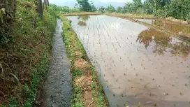 Jual Lahan sawah Pinggir Jalan Area Cimaung Banjaran