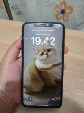 Iphone 11 Pro Max 256 Second Inter