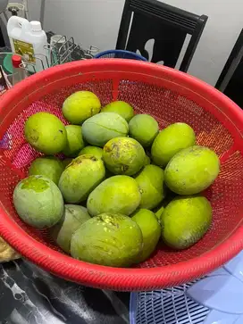 BUAH KUINI SUPER