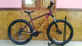 MTB Polygon Premier 4