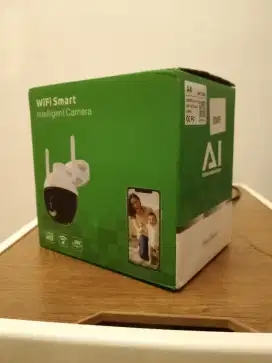 Security Cam V320