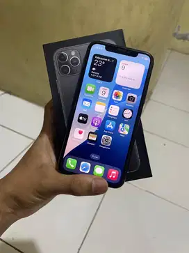 iPhone 11 Pro 256GB Beacukaii