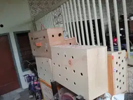 Box untuk ayam jago untuk pengiriman