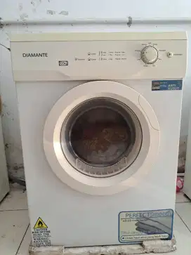 Dryer Diamante 10.5kg