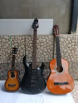 Gita elektrik, Gitar akustik elektrik, ukulele