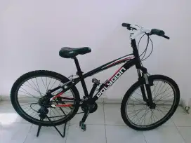 Sepeda MTB POLYGON CLEO