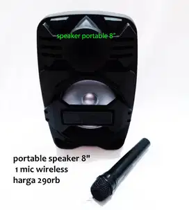 SPEAKER PORTABLE 1 MIC WIRELESS