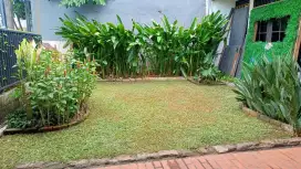 Potong rumput dan lanscape