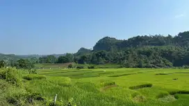 Tanah Murah Kavling  wisata Bogor sekitar Bekasi, Cibubur, Jakarta