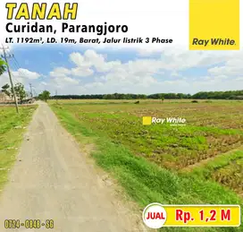 Dijual Tanah Curidan, Parangjoro