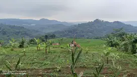 MENAKJUBKAN : AIR & PEMANDANGAN || SAWAH PRODUKTIF DI PURWAKARTA