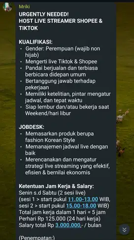 URGENTLY NEEDED! HOST LIVE STREAMER SHOPEE & TIKTOK