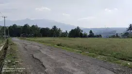 VIEW GUNUNG  | KEBUN MANGGIS DAN SAWAH DI KAWASAN VILA