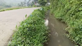 SAWAH PALING BAGUS 3X PANEN || AIR MENGALIR. BAGUS JUGA BUAT VILA