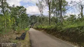 KEBUN DI TENGAH WARGA || VIEW GUNUNG DAN SAWAH