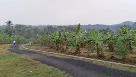 TANAH KEBUN Super Adem, Super Subur, Dekat Pemukiman