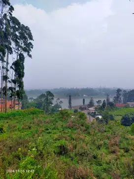 Dijual Tanah Padat View Danau Situ Cileunca Pangalengan Bandung