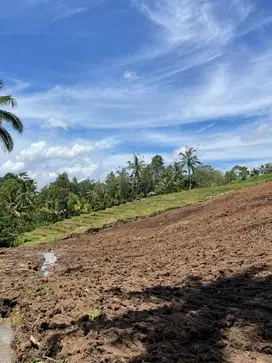 Tanah Kavling Murah Penebel