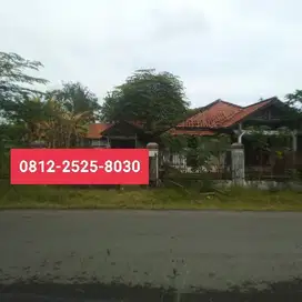 Rumah dengan tanah luas 653m tepi jl raya di warureja Tegal SMR