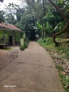 Tanah kebun manggis dan durian