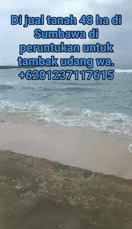 Di jual tanah 48 ha untuk tambak udang di Sumbawa