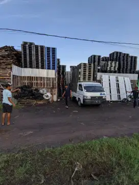 Pallet Plastik Bekas Baru Berkualitass