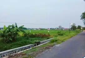 Tanah Sawah SHM di Pucangan Kartasura Bisa Dikeringkan