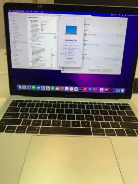 Want to sale! MacBook Pro 2017 i5 8/256 Gb Ntb Bergaransi