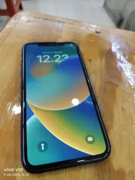 Iphone XR 64Gb ( QL/A internasional