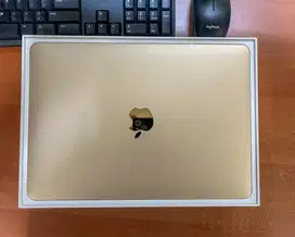 MacBook Retina, 12 inch 512GB